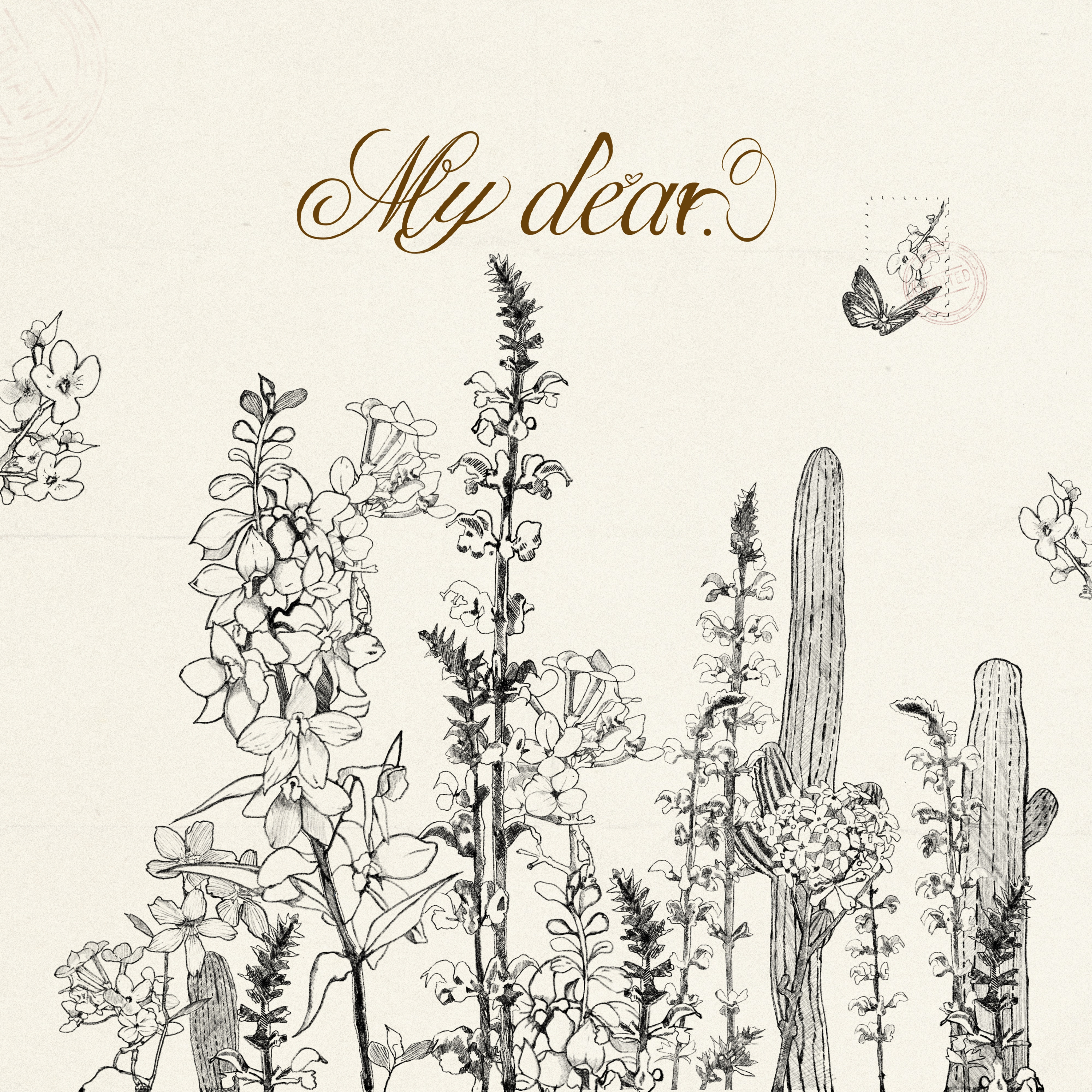 My dear cover